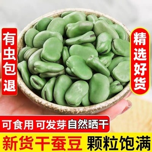 精选新货5斤装绿皮干蚕豆生的绿胡豆可发芽做油炸罗汉豆莲花豆