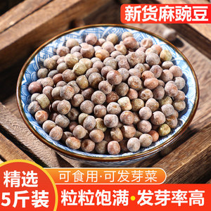 新货麻豌豆干豌豆生豌豆生灰豆子生麻豌豆发芽率高灰豆汤原料5斤