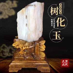 天然缅甸树化玉矿物原石摆件木化玉石奇石观赏石硅化木风水木化石 阿里巴巴找货神器 天然缅甸树化玉矿物原石摆件木化玉石奇石观赏石硅化木风水木化石 阿里巴巴找货神器
