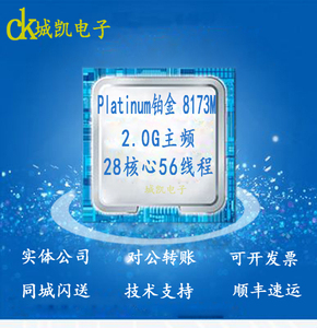 Intel Platinum 铂金 8173M CPU 正式版 28核56线程 2696 2699