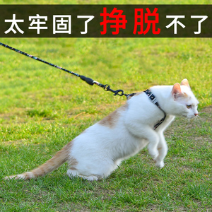猫咪溜猫牵引绳猫绳防挣脱外出专用背带遛猫绳工字型猫绳子牵引猫
