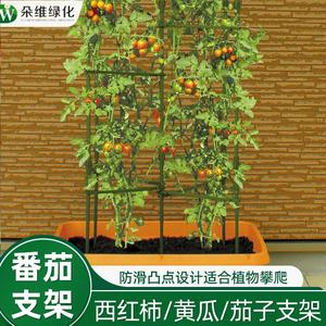 茄子架杆爬藤架蔬菜架杆种菜支撑盆栽庭院固定丝瓜黄瓜种菜支架