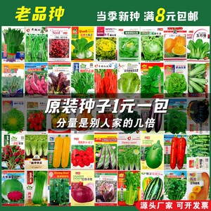 四季播种蔬菜种子大全阳台庭院盆栽室内种植番茄生菜香菜草莓籽1