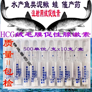 水产鱼类泥鳅牛蛙林蛙催产药注射用绒促性素HCG绒毛膜促性腺激素