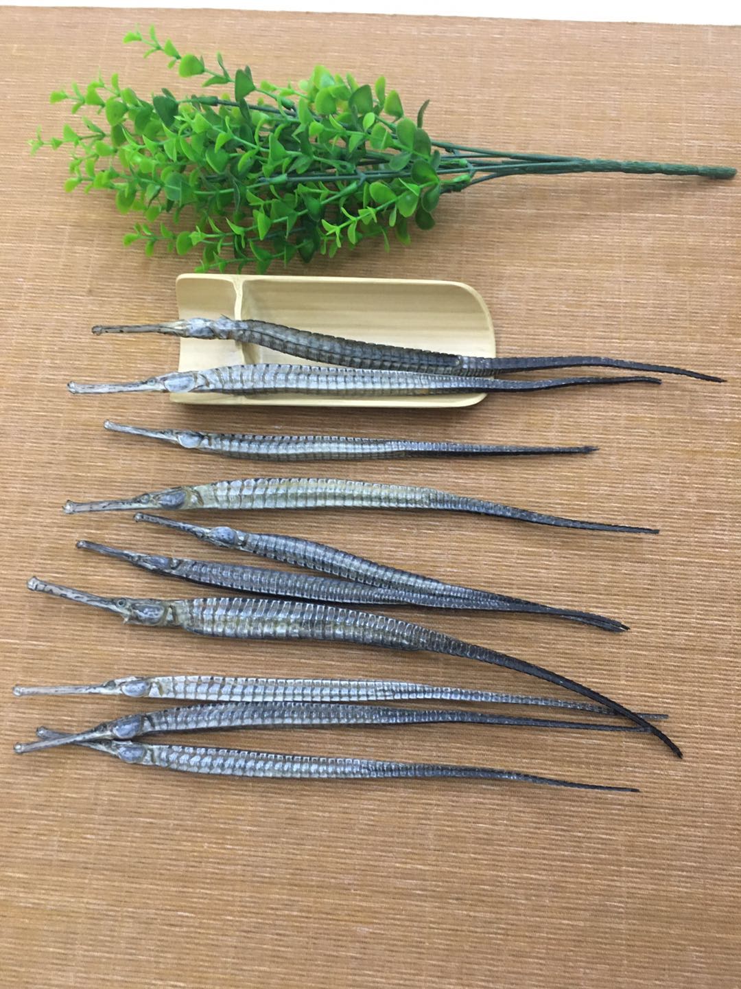 六角海龙干货一对12克男性滋补品煲汤泡酒料中药材