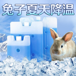 兔子降温神器夏季防中暑冰盒小宠降温可循环消暑冰窝侏儒兔兔用品