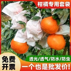 柑橘套袋专用袋耙耙柑水果套袋石榴桔子橙子橘子防虫防鸟保护果袋
