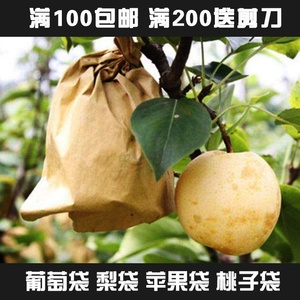 生长高档防虫专用保护袋桃子双层水果套袋纸袋葡萄果树防鸟梨子