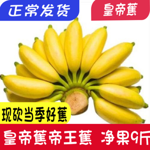 海南皇帝蕉小香蕉水果新鲜进口香焦帝皇蕉广西粉蕉甜糯帝王蕉