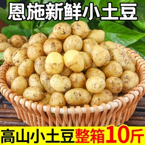 恩施小土豆现挖湖北新鲜黄心土豆10斤当季蔬菜整箱迷你马铃薯洋芋