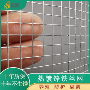 铁丝网小孔钢丝围栏热镀锌电焊网片网格养殖防护栏网装玉米防鼠网