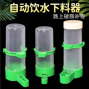 鸟用饮水器鸟自动喂水器虎皮鹦鹉自动下水杯鸟笼水盒槽塑料鸟食器
