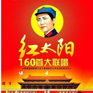 红太阳 160首经典老歌曲中华民歌精选集 DVD音乐视频碟片光盘