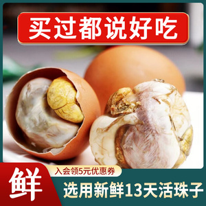 王文甫活珠子13天鸡胚蛋 新鲜即食五香味 德清特产毛钢化凤凰喜蛋