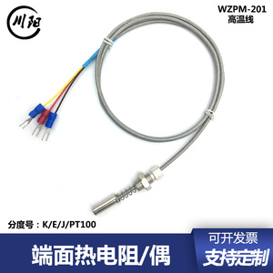 电机端面热电阻 WZPM-201PT100温度探头传感器双支铂热电阻热电偶