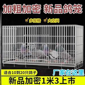 鸽子笼家用新款鸽笼养鸽子专用笼配对笼鸟笼大号特大不锈铁养殖笼