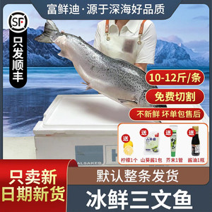 一整条冰鲜挪威三文鱼10-12斤 新鲜生鱼片刺身中段鲑鱼即食海鲜