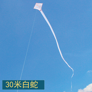飞舞2024年新款大型教学活动材料15米白蛇长尾巴空白风筝diy手工