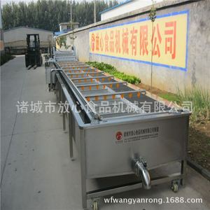 全自动蔬菜清洗机价格 山蕨菜清洗机厂家 可根据产量加工定做
