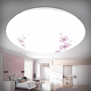 樱花茶花款LED吸顶灯卧室客厅室内走廊厨房厕所节能家用超亮包邮