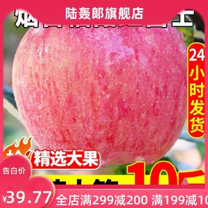 苹果水果10斤新鲜当季烟台西安红富士一整箱批应季脆甜冰糖心丑脆
