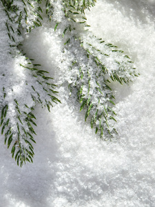 泓瀚 圣诞仿真干雪粉不融化仿真雪飘雪粉拍摄电影雪景道具永久