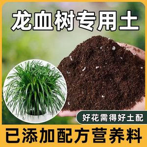 龙血树专用营养土通用种植养花土盆栽种花肥料有机天然松针腐殖土