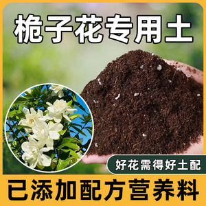 种栀子花专用土营养土栀子花家庭肥料肥腐殖土透气土壤泥土种植土
