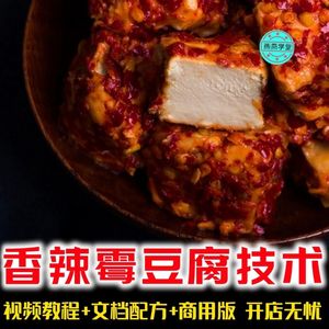 如何做霉豆腐 怎么做豆腐乳 霉豆腐豆腐乳制作技术配方视频教程