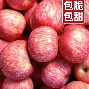 正宗陕西洛川苹果水果新鲜水果10斤当季整箱红富士脆甜平果大包邮