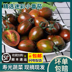 迷彩小番茄圣女果现摘新鲜蔬菜孕妇水果樱桃小西红柿农家种自然熟