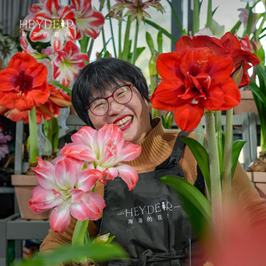 海蒂的花园旗舰店荷兰朱顶红进口重瓣种球花卉爱神北极女神球根