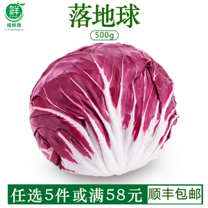 新鲜落地球生菜紫苣红菊苣红卷心菜健身西餐食材沙拉蔬菜500g