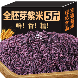 【绿色食品】5斤云南墨江紫米商用新米紫糯米全胚芽五谷杂粮粗粮