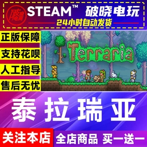 STEAM PC正版 泰拉瑞亚Terraria 简体中文 联机游戏 国区礼物秒发