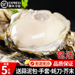 连云港生蚝鲜活10新鲜海蛎子5斤海鲜特大牡蛎贝壳水产包活营养