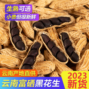 2023云南黑花生新鲜带壳生的原味炒熟黑皮花生去壳花生米种籽子
