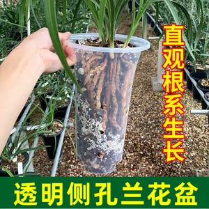 兰花专用盆有侧孔透明塑料加高加厚控根盆蝴蝶兰石斛花盆兰花套盆