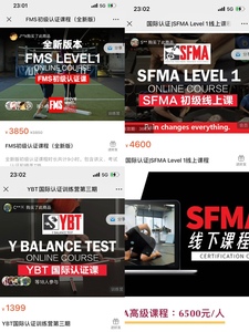 Sfma课程fms全套ybt课程学习动作学院全套课程学习视频教程手法