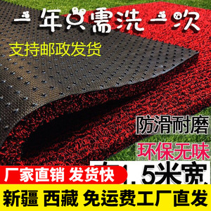 新疆西藏包邮可裁剪地毯丝圈脚垫子地垫进门口入户门客厅门垫加厚