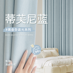 法式小清新窗帘遮光2024新款客厅高级感卧室轻奢现代简约蓝色大气