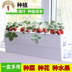 新疆包邮阳台无土栽培种菜设备 水培蔬菜草莓种植箱 智能水耕种菜