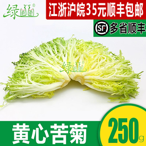 新鲜黄心苦叶 黄心苦菊生菜 狗牙生菜 黄九芽沙拉蔬菜250g