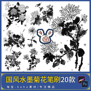 中国风水墨菊花ps/procreate笔刷植物花朵水彩ipad笔刷绘画参考84