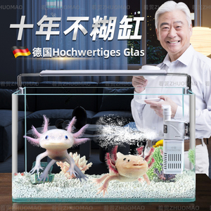 德国六角恐龙专用缸热弯玻璃鱼缸长方形蝾螈饲养缸客厅小型家用