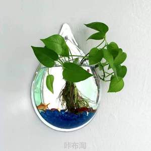 客厅玻璃墙上花盆半圆形水培透明花盆花瓶挂墙小_挂饰壁挂式鱼缸