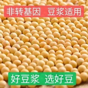 东北农家黄豆1000g新货优质黄豆颗粒饱满 黄豆打豆浆专用黄豆多规