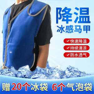 降温马甲制冷衣服冰袋水冷夏天空调男款冰工作服防暑夏季降温背心