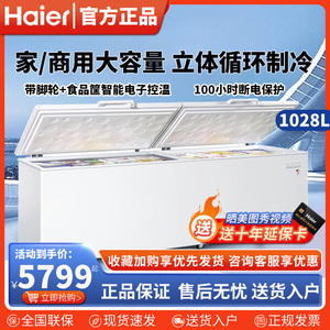 Haier/海尔 BC/BD-1028T商用家用大冷柜冷藏冷冻转换冰柜速冻肉鱼