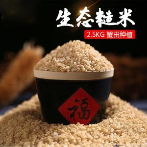 ZL东北糙米2020新米5斤低脂发芽糙米饭健身糟米粗粮慥米代餐杂粮